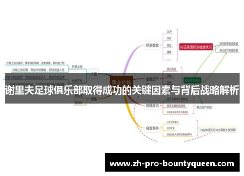 谢里夫足球俱乐部取得成功的关键因素与背后战略解析 谢里夫足球俱乐部取得成功的关键因素与背后战略解析