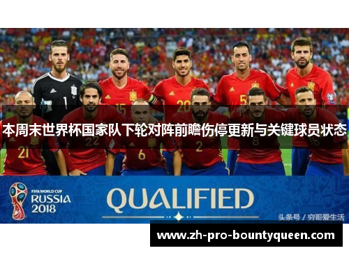 本周末世界杯国家队下轮对阵前瞻伤停更新与关键球员状态