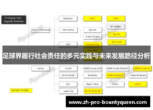 足球界履行社会责任的多元实践与未来发展路径分析