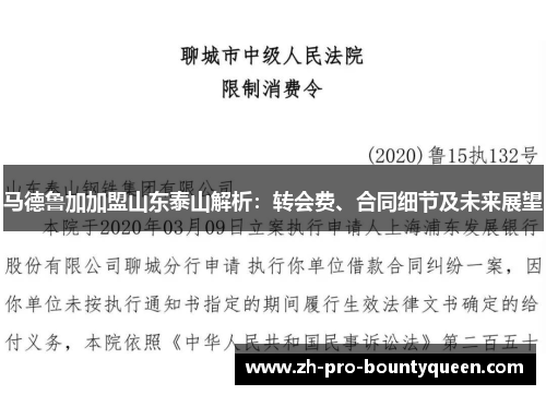 马德鲁加加盟山东泰山解析：转会费、合同细节及未来展望